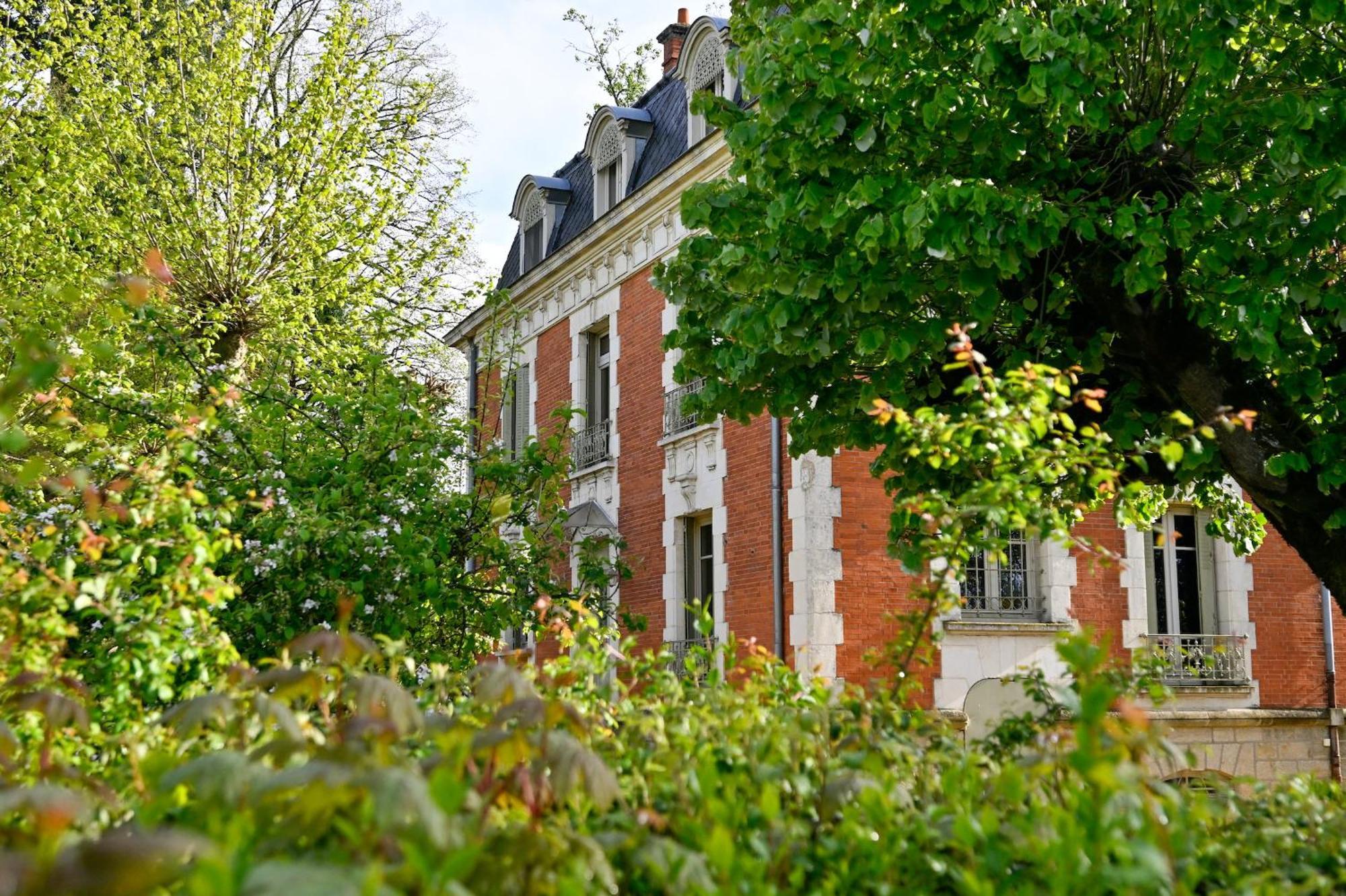 Chateau De La Chaix Saint-Christophe-en-Brionnais Eksteriør bilde
